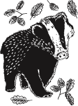 animal drawing chosen to represent to year group